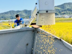 投稿についてもっと詳しく 令和5年産新米♪アグリの【漢米】できました！